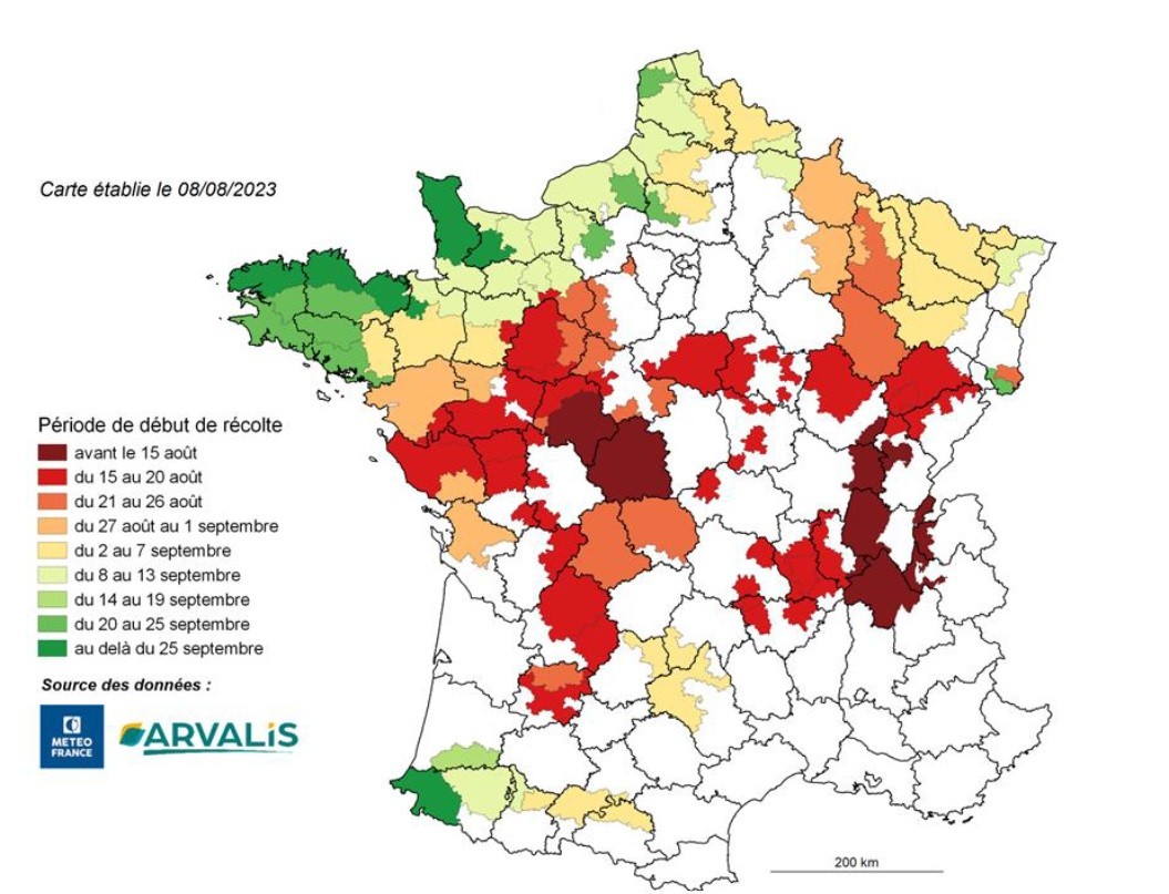 Carte 1 : Estimation de la date de début de récolte du maïs fourrage par secteur 