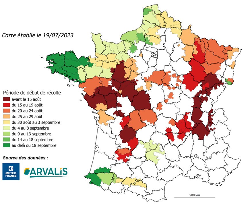 Carte 1 : Estimation de la date de début de récolte du maïs fourrage par secteur