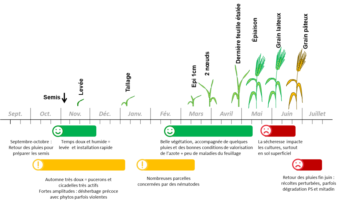 Figure 1 : Points clés de la campagne blé dur 2022/2023