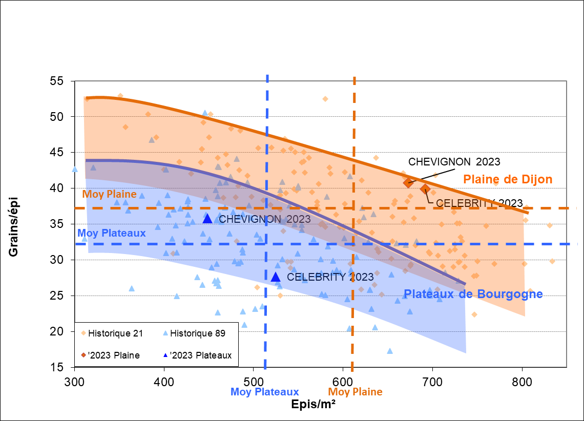 Figure 10 : Suivi physiologique pluriannuel - nombre de grains/épi / épis/ m²  – toutes variétés – sols limons argileux profonds de la  plaine de Dijon et argilo-calcaires superficiels des plateaux de la Bourgogne – 1991/2023