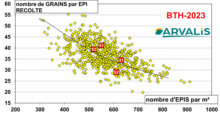 Figure n°3 : Nombre de grains/épi sur le réseau régional ARVALIS