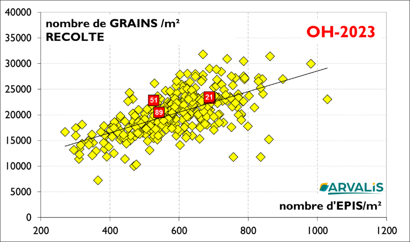 Figure n°4 : Nombre de grains/m² sur le réseau régional ARVALIS