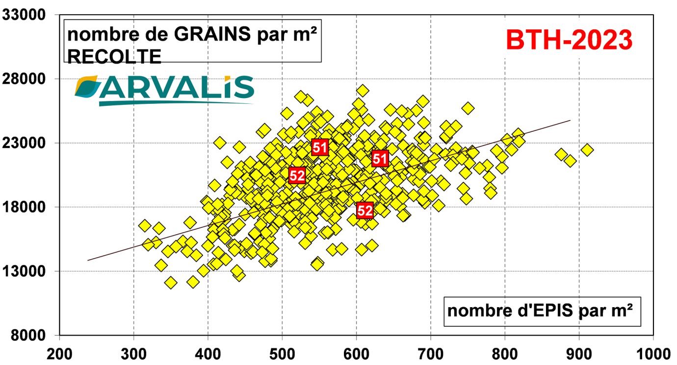 Figure n°4 : Nombre de grains/m² sur le réseau régional ARVALIS