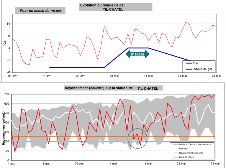 Figure 4 : Evolution des températures minimales (°C) et du rayonnement (cal/cm²) sur la station de Til-Chatel (21) pour la variété Complice semée au 10 octobre 2022