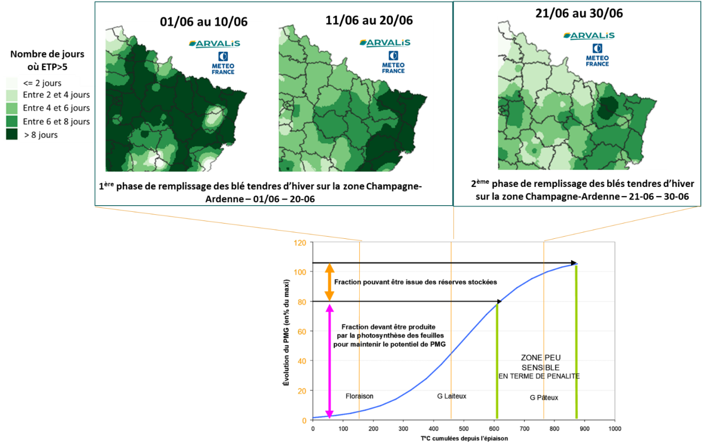 Figure n°6 : Nombre de jours avec des ETP > 5mm selon les différentes phases du remplissage des blés