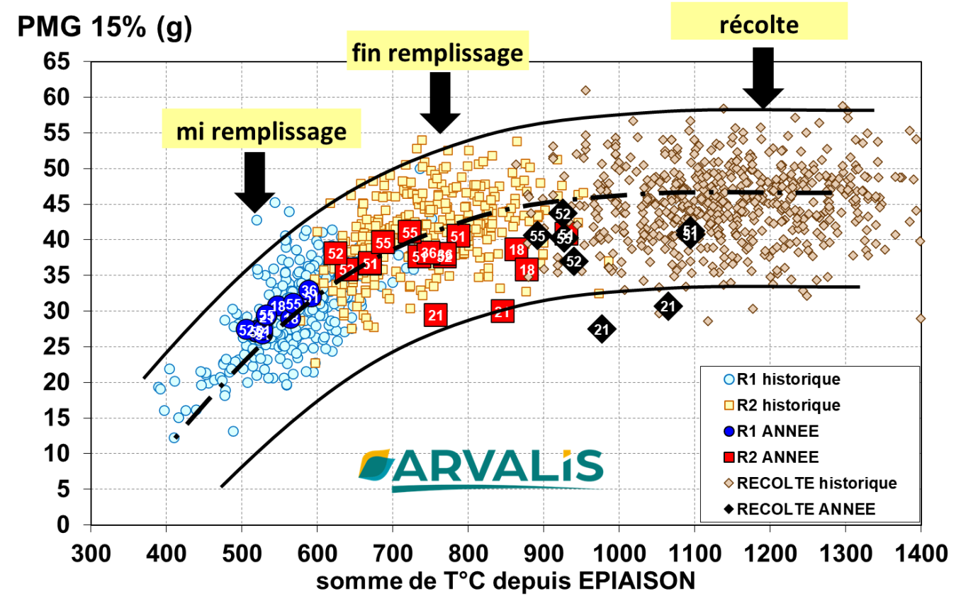 Figure n°7 : Dynamique de remplissage des blés sur le réseau régional ARVALIS