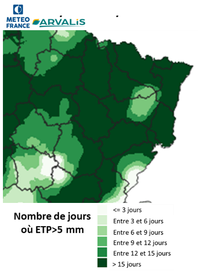 Figure 8 : Première phase de remplissage du blé tendre d’hiver (de floraison à grain laiteux) du 26 mai au 5 juin 