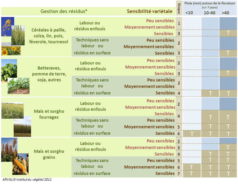 Figure 1 :  Grille d’évaluation du risque d’accumulation du déoxynivalénol (DON) dans le grain lié aux fusarioses sur épi sur blé tendre