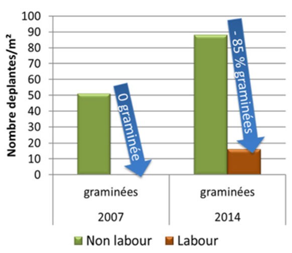 Figure 3 : Impact du labour intermittent sur la gestion des graminées - Essais ARVALIS 2007 et 2014 à Epieds (27)