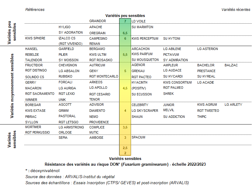 Figure 2 : Sensibilité des variétés de blé tendre au risque DON* (fusariose graminearum) - échelle 2022/2023