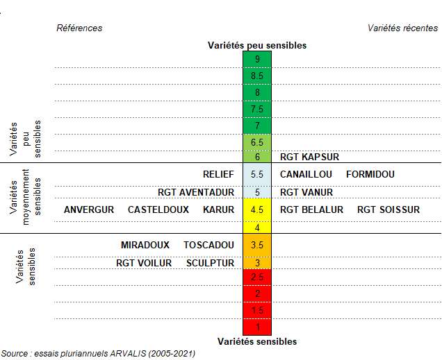 Figure 4 : Classement des variétés de blé dur par rapport aux mycotoxines DON  Synthèse pluriannuelle nationale (2005-2021)