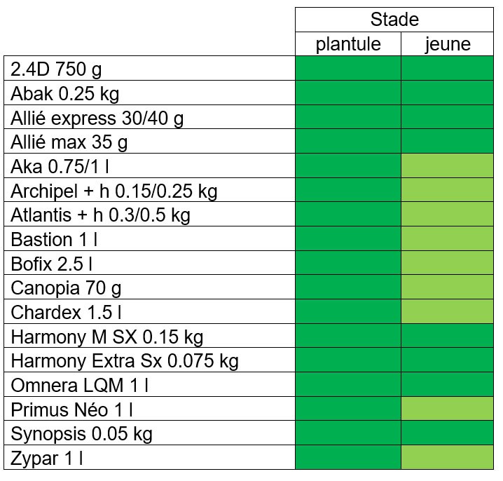 Tableau 1 : Exemples d'efficacités herbicides sur Séneçon 