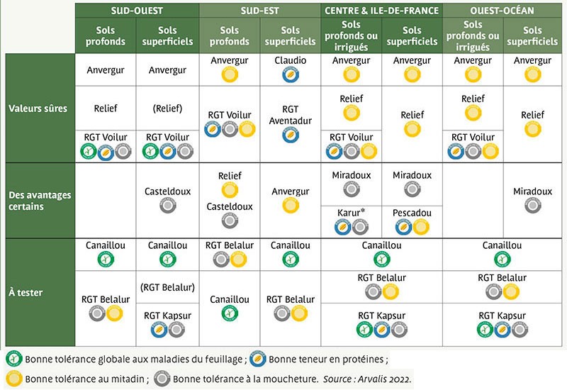 Tableau 2 : Préconisations régionalisées d'ARVALIS pour les blés durs : valeurs sûres, variétés présentant un avantage dans certaines situations, variétés récentes à tester