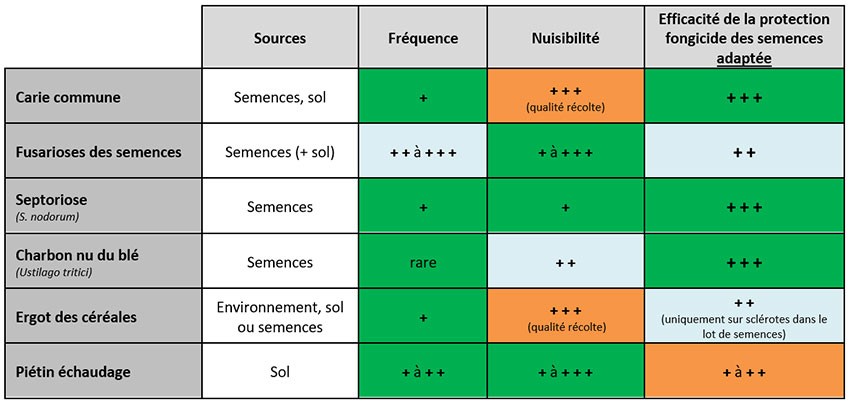 Tableau 5 : Efficacité de la protection fongicide des semences selon la maladie