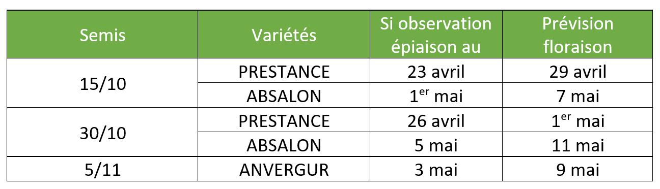 Tableau 1 : Prévisions du stade floraison selon la date de semis, la variété et l’observation de l’épiaison